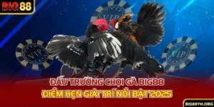 Đấu Trường Chọi Gà BIG88 - Điểm Hẹn Giải Trí Nổi Bật 2025